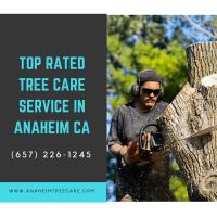 Anaheim Tree Care image 6